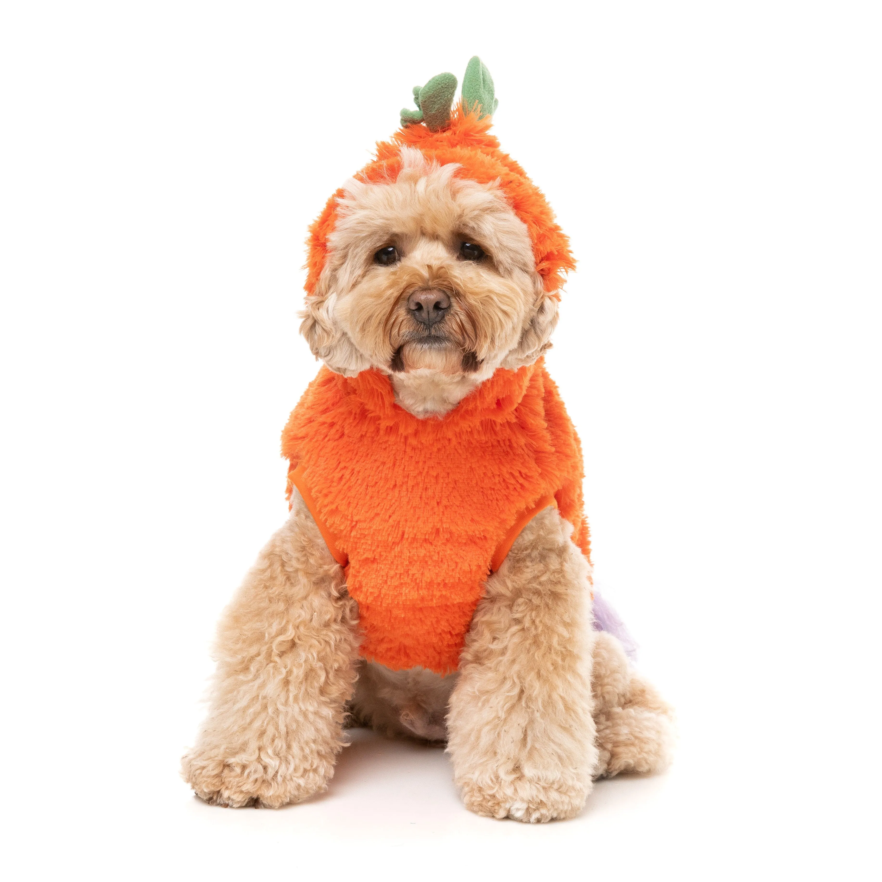 FuzzYard Halloween Dog Apparel Pumpkin Head Hoodie Size 7