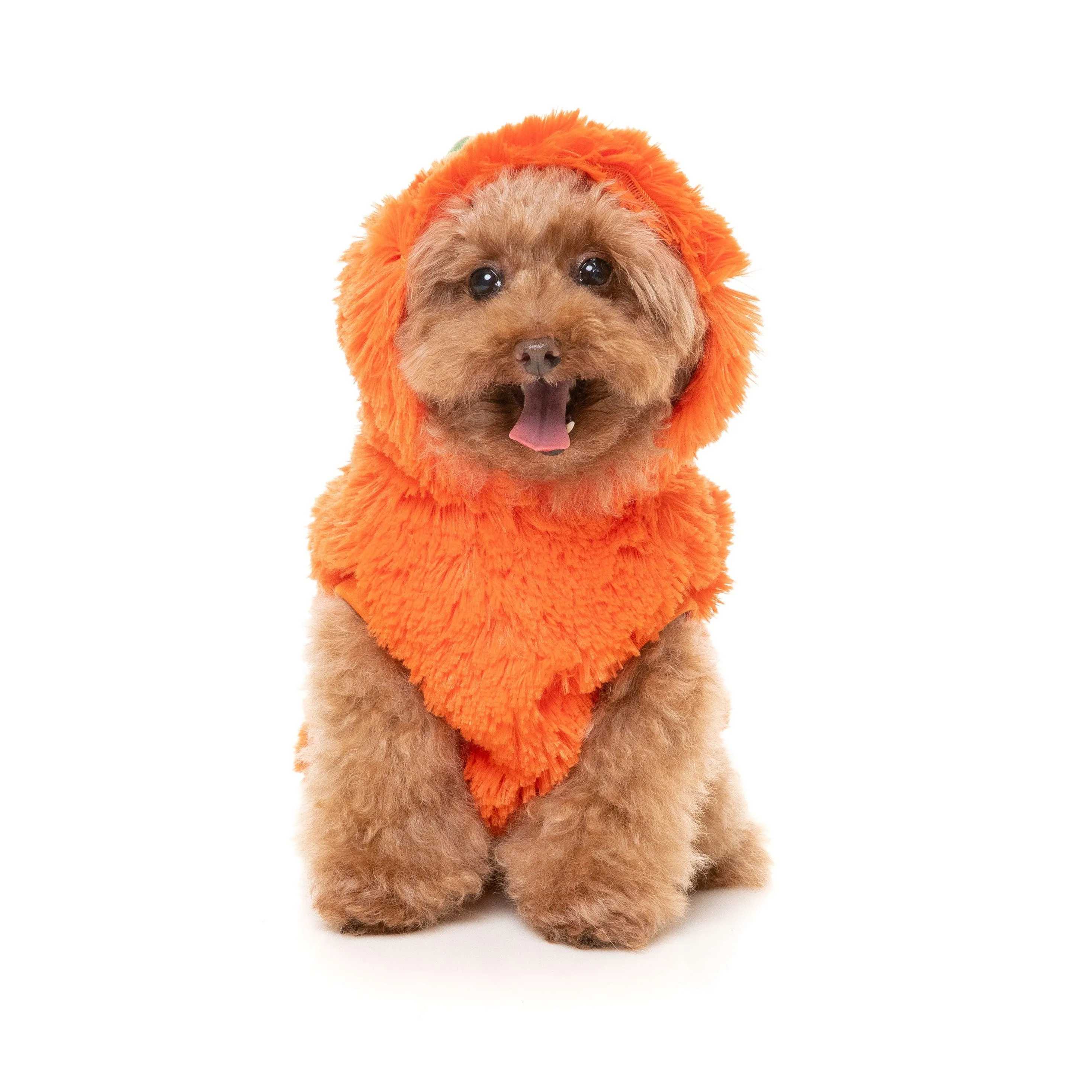 FuzzYard Halloween Dog Apparel Pumpkin Head Hoodie Size 7